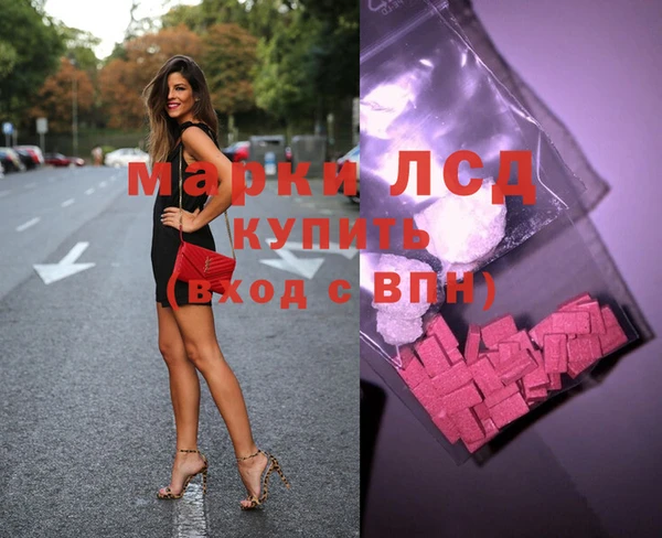 молекула духа Богданович