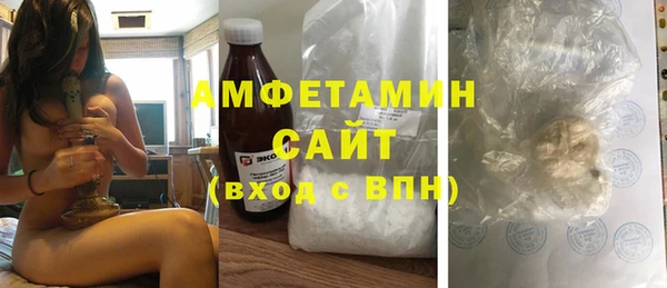 молекула духа Богданович