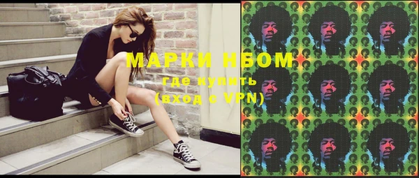 молекула духа Богданович