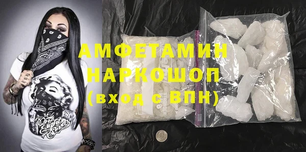 молекула духа Богданович
