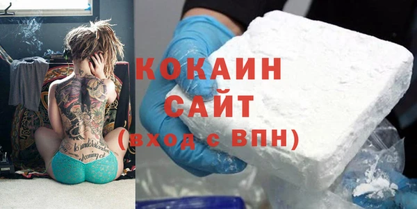 молекула духа Богданович