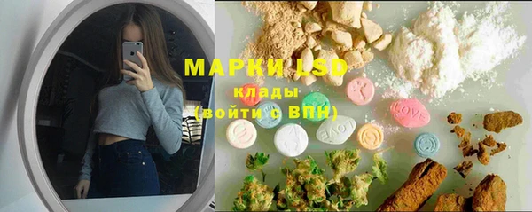 трава Белокуриха