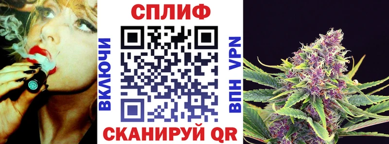 Канабис сатива  Тверь 